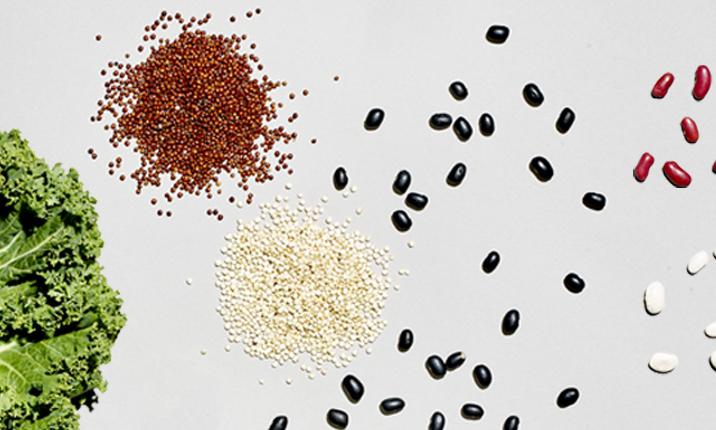 Moving Toward Plant-Based Eating